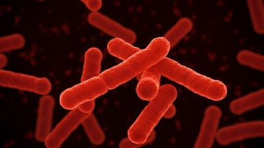 Labmate Online