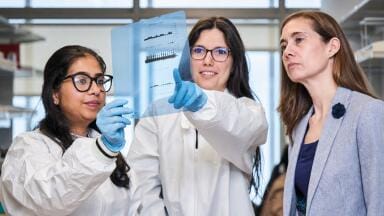 Labmate Online
