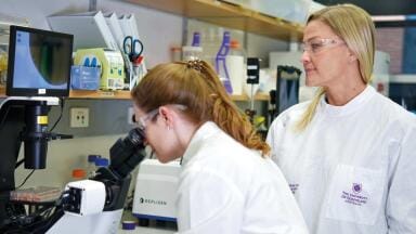 Labmate Online