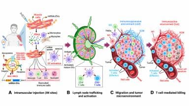 Labmate Online