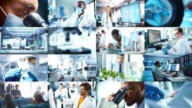 Labmate Online