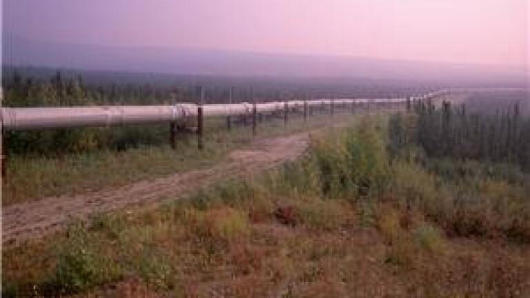 Algerian pipeline explosion injures three people