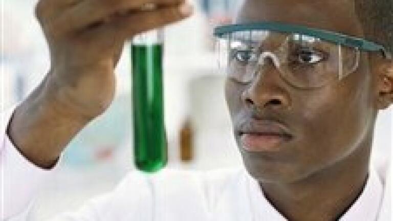 Biofuels 'benefiting from second-phase research'
