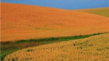 Biofuels 'enable large carbon savings'