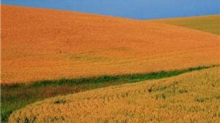 Biofuels 'enable large carbon savings'