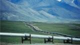 New additions to highly successful series of level transmitters