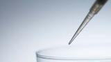 Flexible & Durable Fibre Optics for Mid Infrared Reaction Monitoring