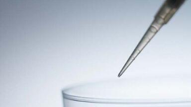 Flexible & Durable Fibre Optics for Mid Infrared Reaction Monitoring