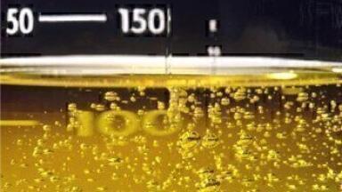 Singapore to Host Global Sustainable Feedstock, Biofuel & Biochemical Summit (SFBB) 2009
