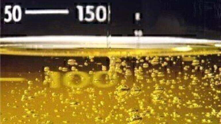 Singapore to Host Global Sustainable Feedstock, Biofuel & Biochemical Summit (SFBB) 2009