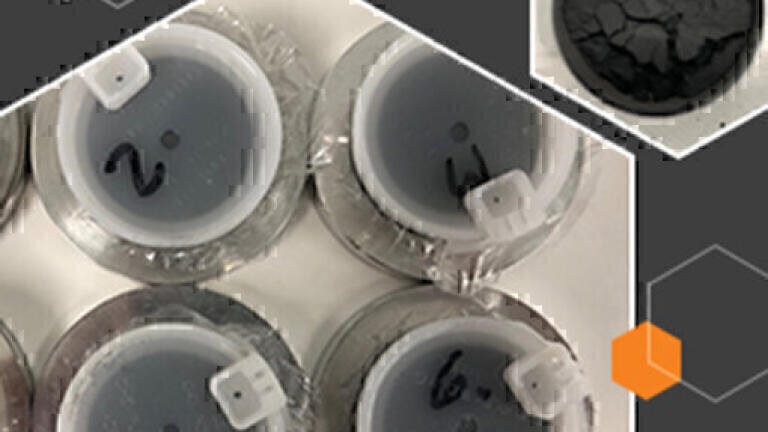 Fast and Precise Elemental Screening in Petroleum Coke and Coal