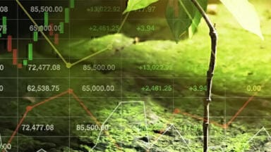 Rapid and Accurate Analysis of Sulphur and Chlorine in Biofuels by XRF